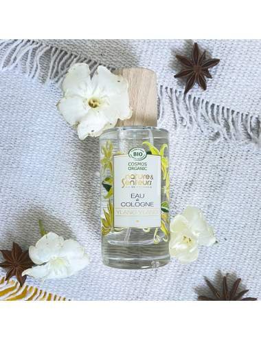 fragrance Ylang Ylang