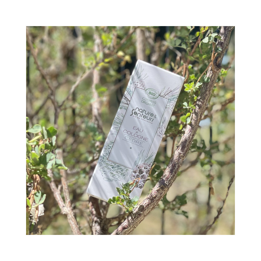 Horizane Santé | Organic Colognes - Cèdre