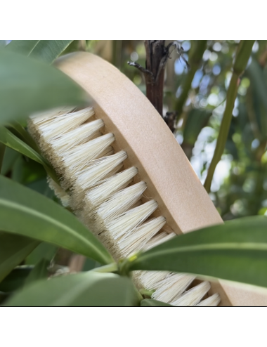Wooden nail brush