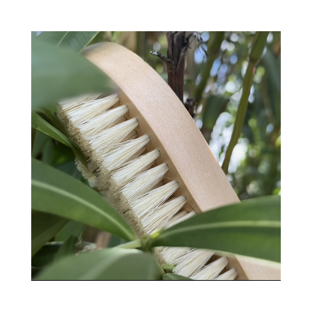 Wooden nail brush