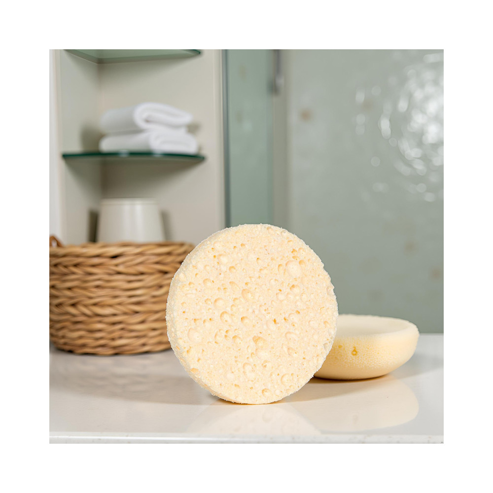 face sponge