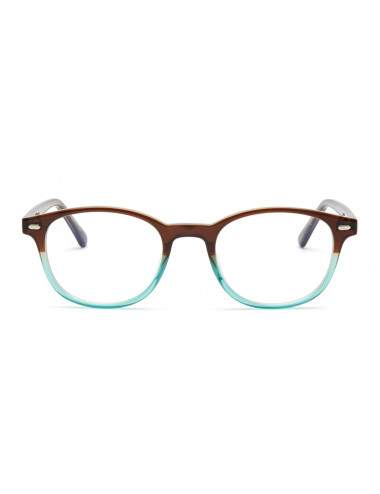 Lunettes de lecture bicolores marron et bleu forme pantos adulte