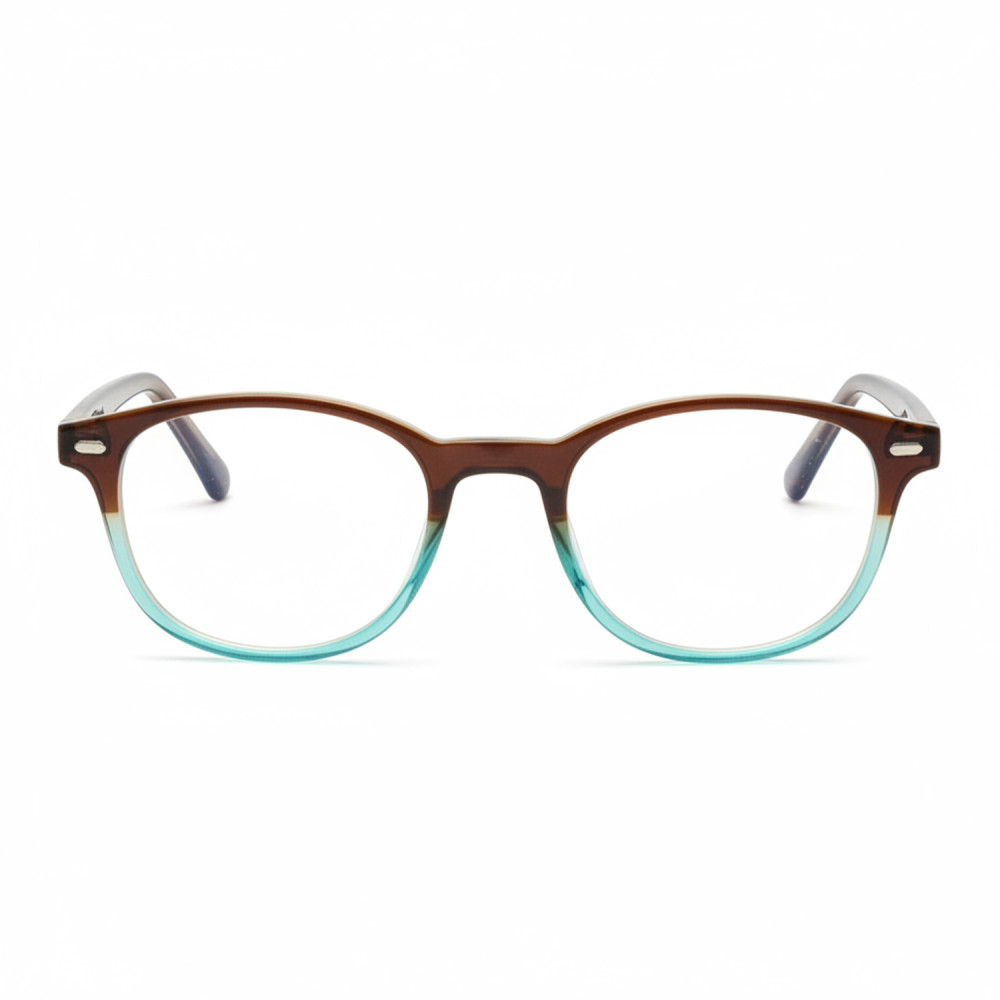 Lunettes de lecture bicolores marron et bleu forme pantos adulte