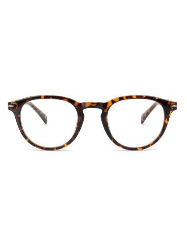 Lunettes loupe écaille forme ronde avec clip polarisé