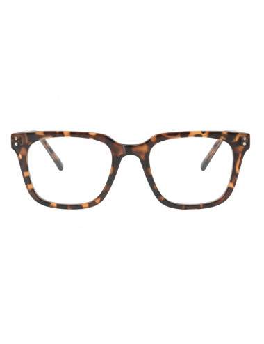 TR90 and cellulose propionate multifocal eyeglass frame