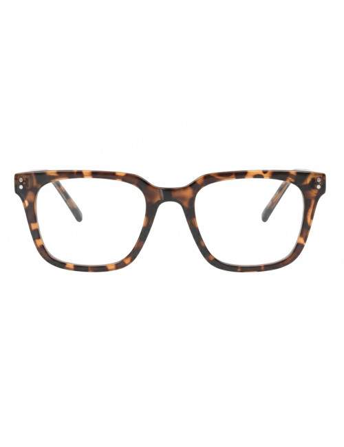 TR90 and cellulose propionate multifocal eyeglass frame
