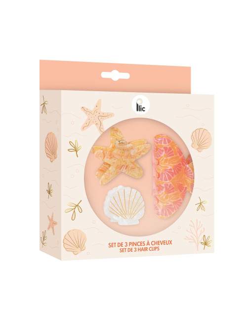 Coffret été 3 pinces à cheveux acrylique